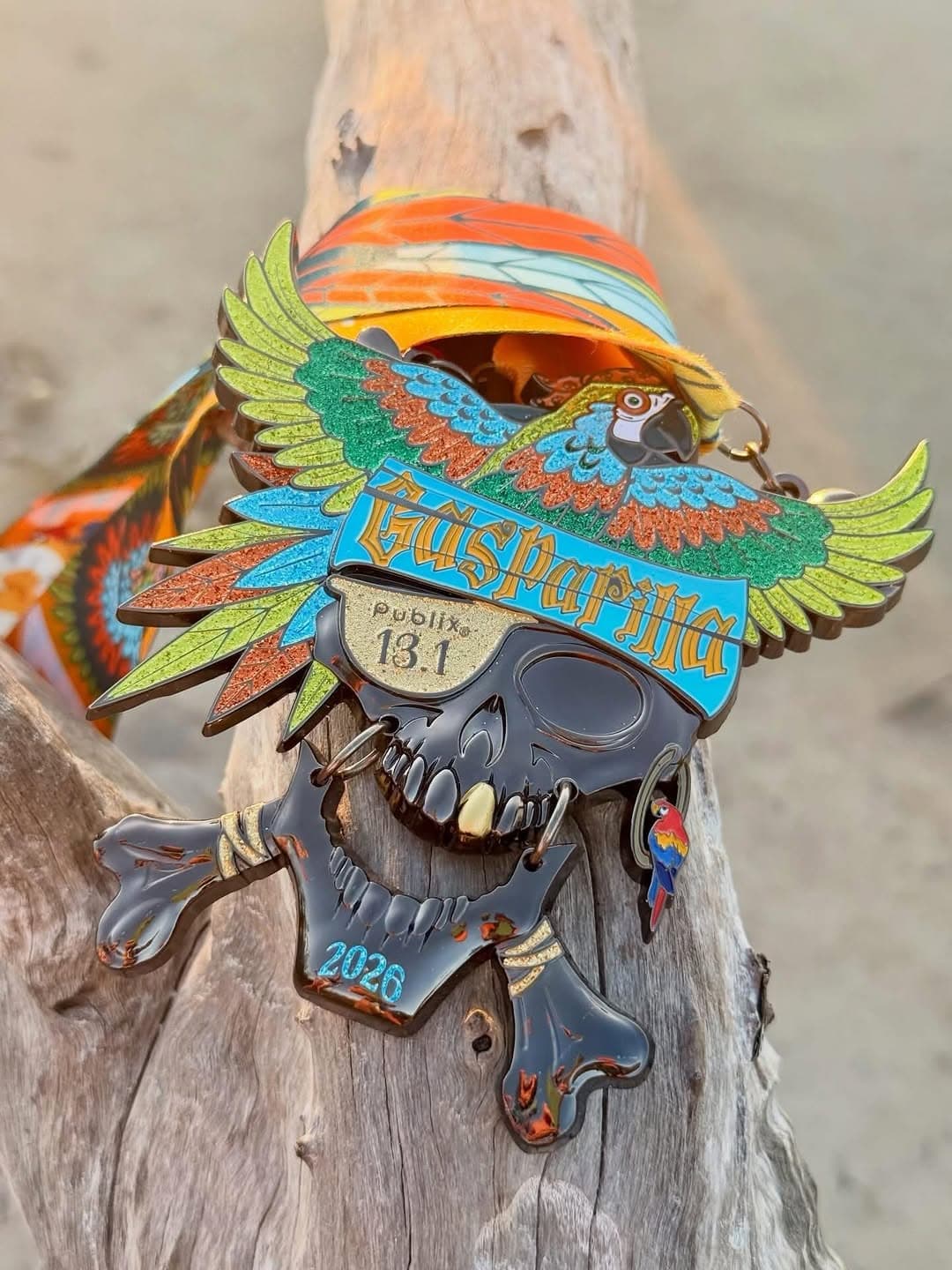 Gasparilla 13.1 finisher medal detail